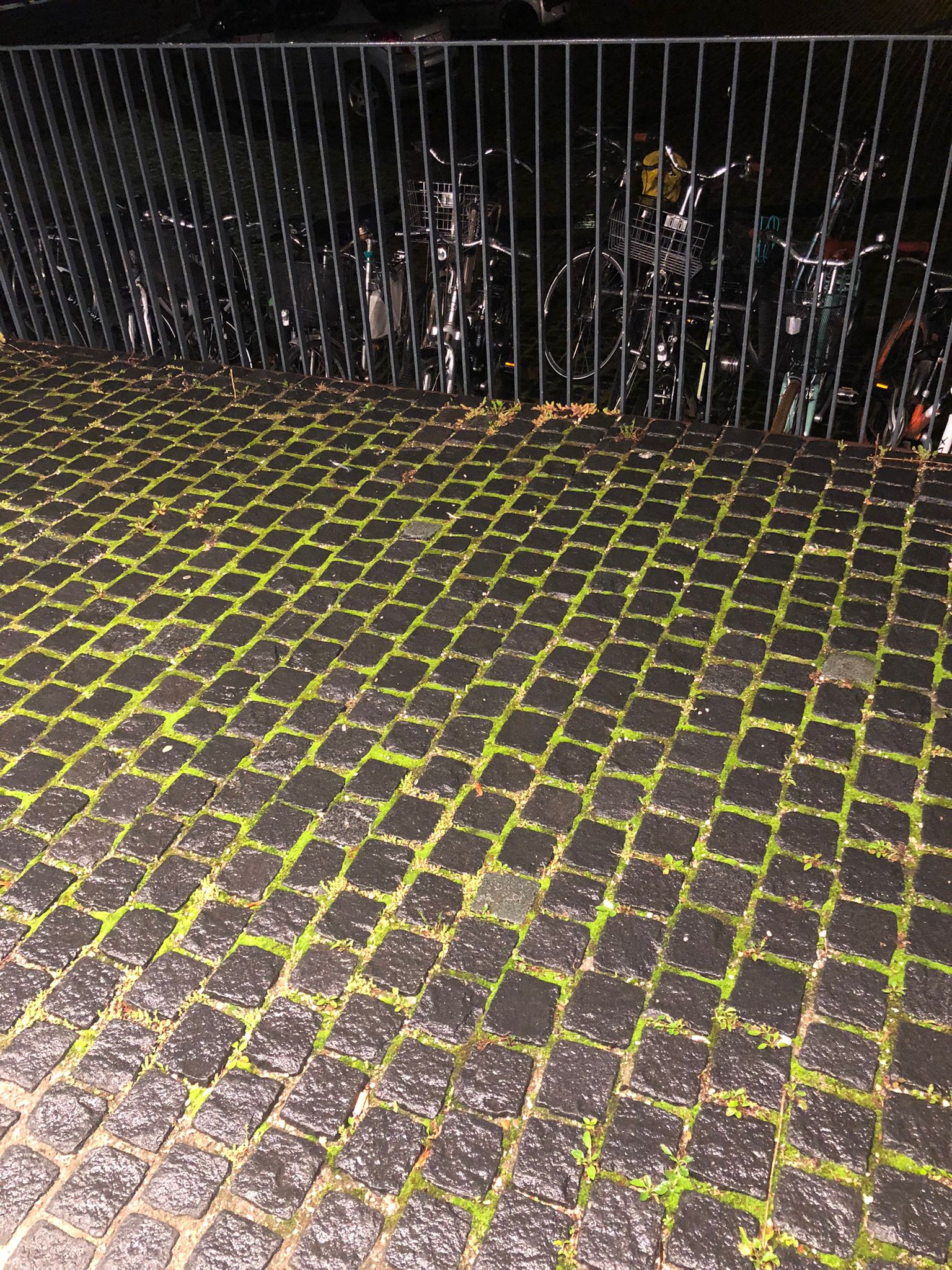 Indoors Jacket back view